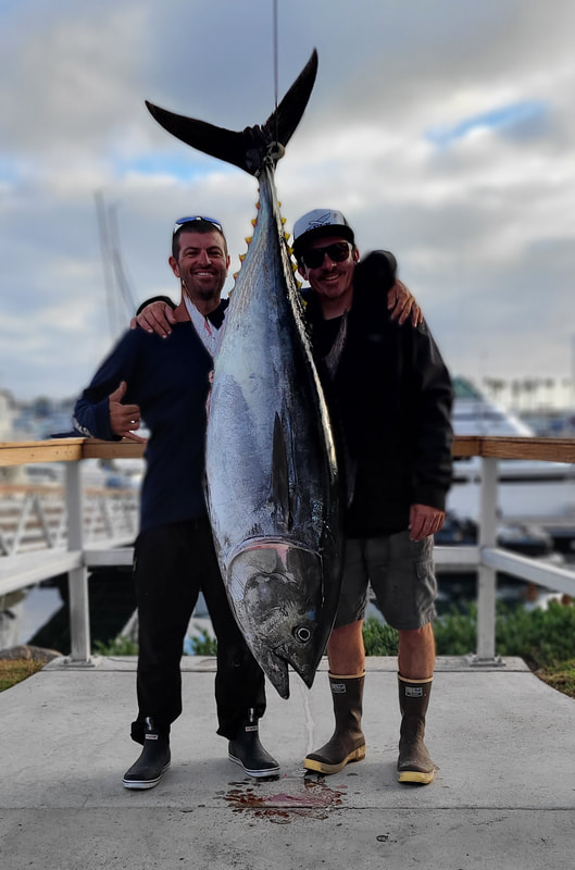 San Diego Private Fishing Charter - PELICAN SPORTFISHING