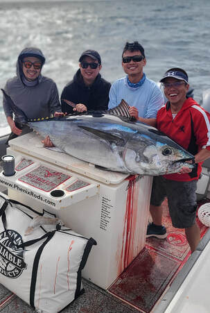 PELICAN SPORTFISHING - #1 San Diego Fishing Charter